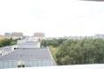DSC05778.JPG