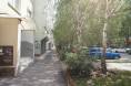DSC05843.JPG