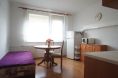 DSC06049.JPG