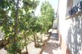 DSC06080.JPG