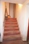 DSC06172.JPG