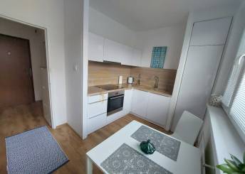 1-izb. byt, Petržalka pri Zrkadlovom háji