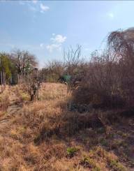 záhrada na Žabom majeri, Rača