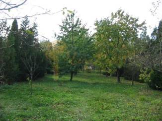 Rodinný dom s administratívnou budovou, dvojgarážou a veľkým pozemkom